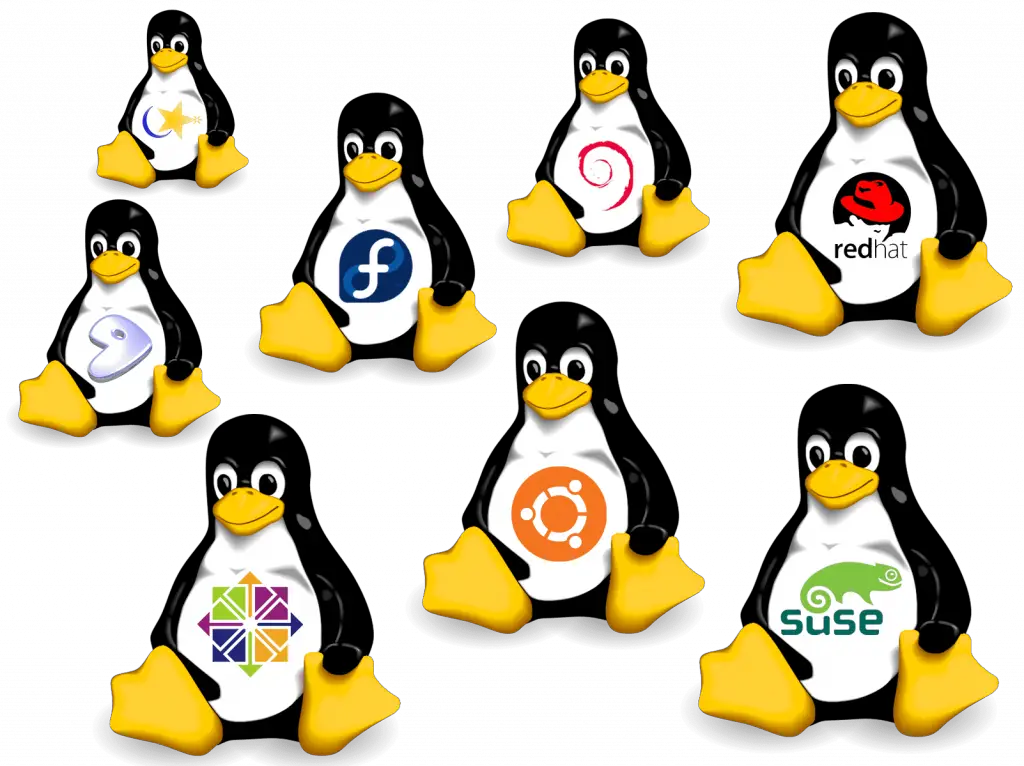 Linux Systems at Risk: Patch CVE-2024-1086 Immediately