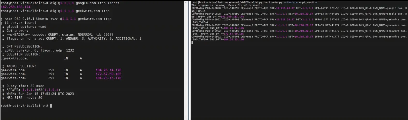 DNS monitoring tool